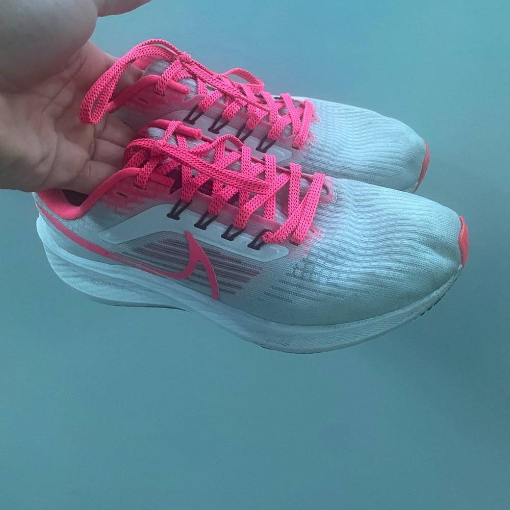 Nike zoom pegasus 39
